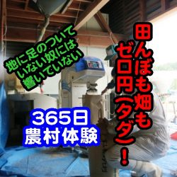 【田舎に溶け込むコツ】ゆとり・さとり世代が移住定住を行う問題・課題