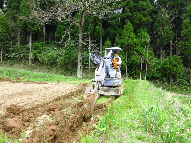 氷見市地域おこし協力隊（稲垣）・田舎暮らし週間活動報告（4月第３週）富山で移住定住