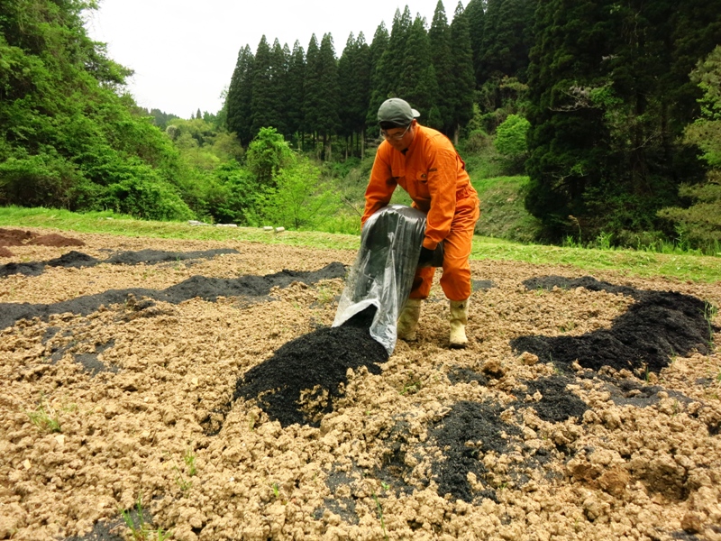 粘土質の田から畑への土壌改良 有機栽培 排水処理 点穴埋め戻し 矢野智徳 大地の再生講座 都市と田舎の架け橋に 味よし人よし笑顔よし