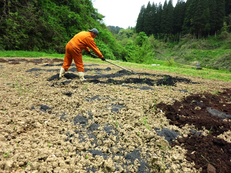 粘土質の田から畑への土壌改良 有機栽培 排水処理 点穴埋め戻し 矢野智徳 大地の再生講座 都市と田舎の架け橋に 味よし人よし笑顔よし