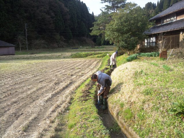 地域団結・水路掃除でコミュニケーション　【米づくりの手順】