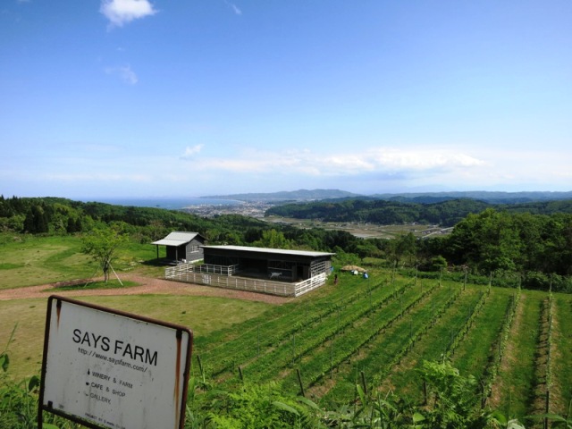 SAYS　FARM（富山湾を一望出来るワイナリー＆レストラン）