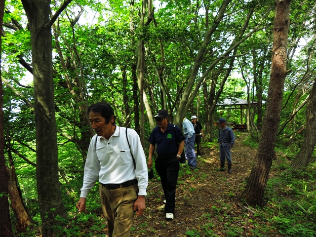 初心者おすすめハイキング日帰り登山・若葉眩い三千坊