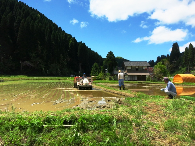 160512_田植え圧縮