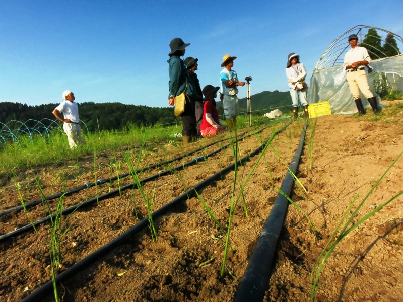 ５０年ぶりに復活！北陸限定の工程作業　仮植え・自然農法で米づくり実践学習【氷見有機の里づくり協議会】