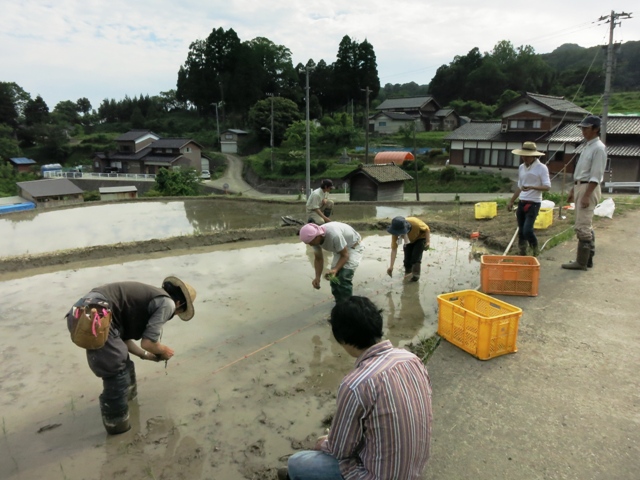 田植え・自然農法で米づくり実践学習【氷見有機の里づくり協議会】