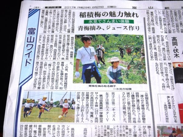 170625_稲積梅 富山新聞 (2)