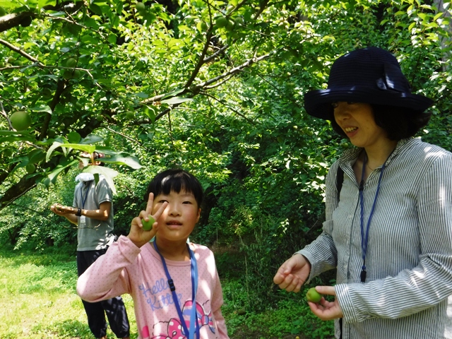 氷見市地域おこし協力隊（稲垣）・田舎暮らし週間活動報告（６月第４週）富山で移住定住