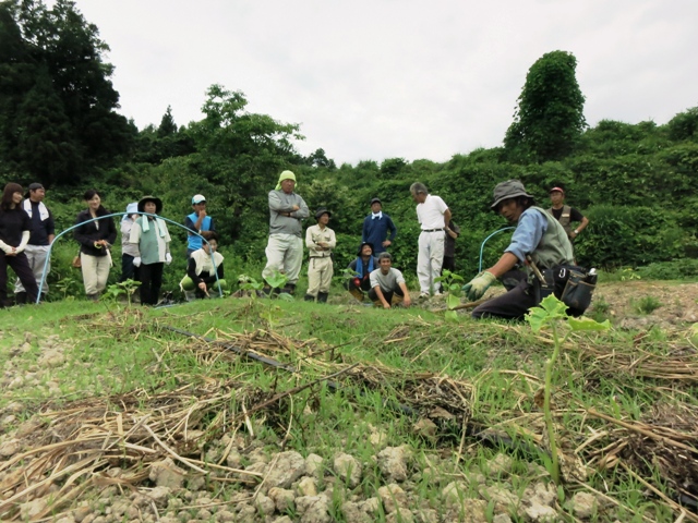 『ひみ有機の里づくり』実践学習・大地の再生講座　富山有機の杜づくり【６月編】