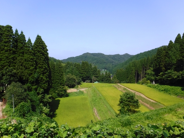 「地域は、全面協力する！」区長の言葉、不慮の事故・お悔やみ