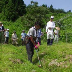 『ひみ有機の里づくり』実践学習・大地の再生講座　富山有機の杜づくり【７月編】