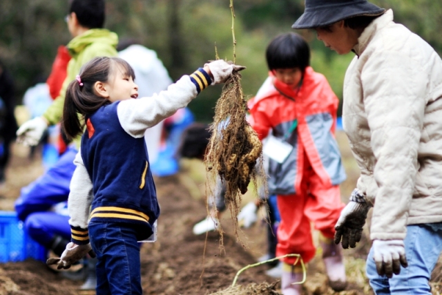 定員間近！イベント『サツマイモ収穫と新米で食べる田舎の御馳走』