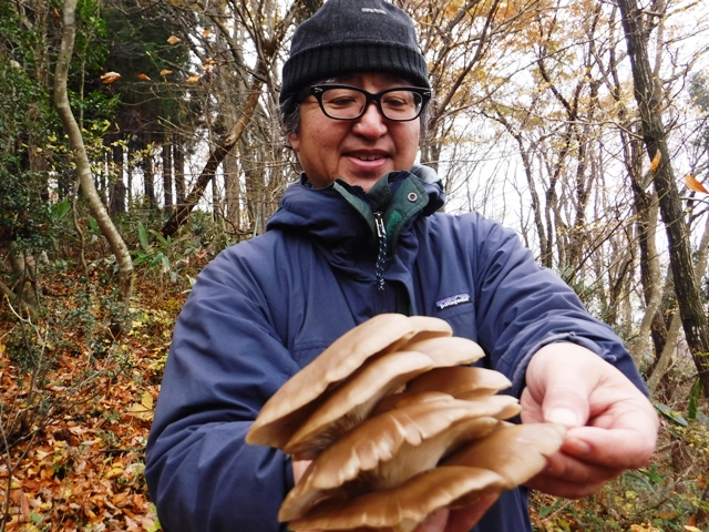 晩秋の三千坊／キノコ狩り体験と気軽にハイキング・ガイド