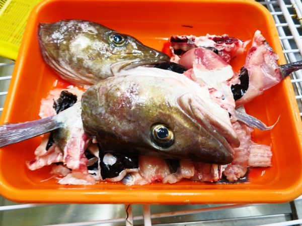 冬の白身魚 ヤガラとマダラで贅沢５００円 １食 氷見のお魚屋さん 都市と田舎の架け橋に 味よし人よし笑顔よし