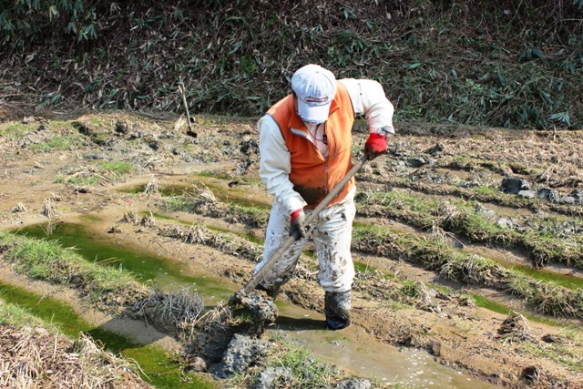 氷見市地域おこし協力隊（稲垣）・田舎暮らし週間活動報告（3月第４週）富山で移住定住