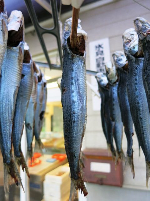 広辞苑に記載がある七つ星☆超高級魚・氷見イワシ/神代鮮魚店