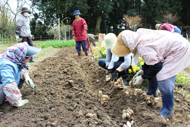 平成２９年度氷見市地域おこし協力隊の活動経費１８０万円は高額！？実態は・・・