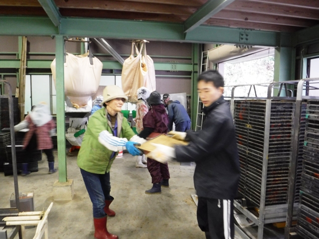 氷見市地域おこし協力隊（稲垣）・田舎暮らし週間活動報告（4月第２週）富山で移住定住