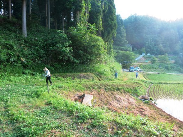 160608_脇之谷内営農草刈 (1)圧縮