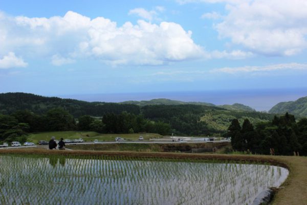 170527_長坂 田植え(155)