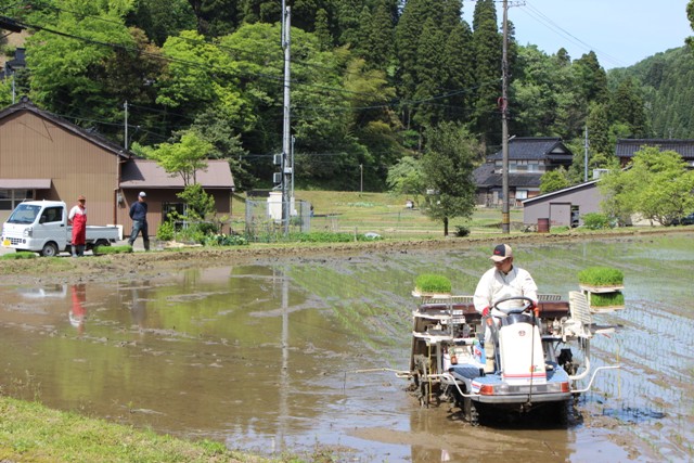 氷見市地域おこし協力隊（稲垣）・田舎暮らし週間活動報告（５月第３週）富山で移住定住