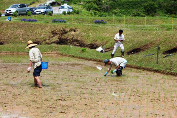 170527_長坂 田植え(135)