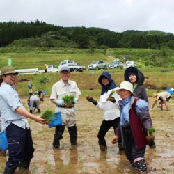 日本の棚田百選『長坂の棚田』で田植え/市長のおもてなしはＧＯＯＤ☆☆☆、行政職員ＮＧ××