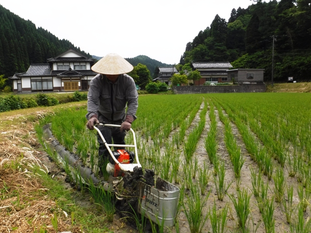 氷見市地域おこし協力隊（稲垣）・田舎暮らし週間活動報告（６月第３週）富山で移住定住