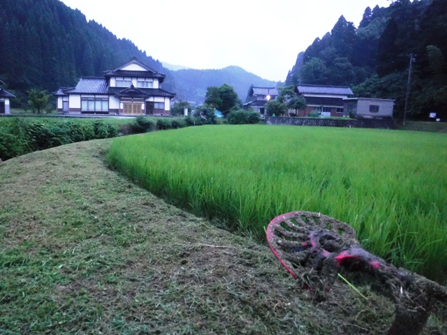 氷見市地域おこし協力隊（稲垣）・田舎暮らし週間活動報告（7月第２週）富山で移住定住