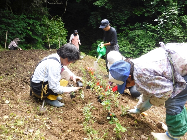 氷見市地域おこし協力隊（稲垣）・田舎暮らし週間活動報告（６月第５週）富山で移住定住