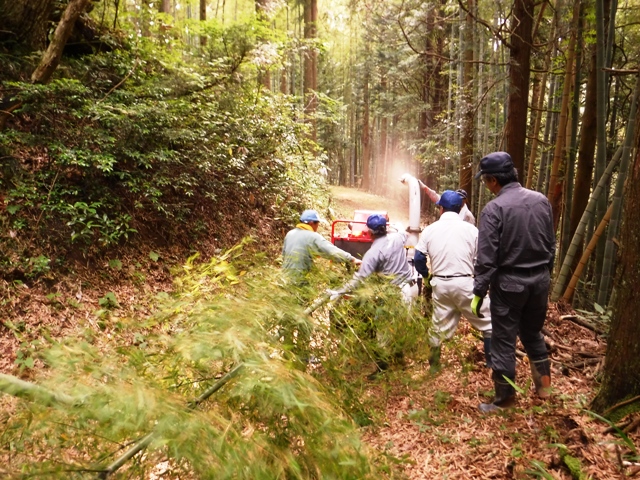 日本の将来は危うい！竹林整備でオヤジの本音とゆとり教育