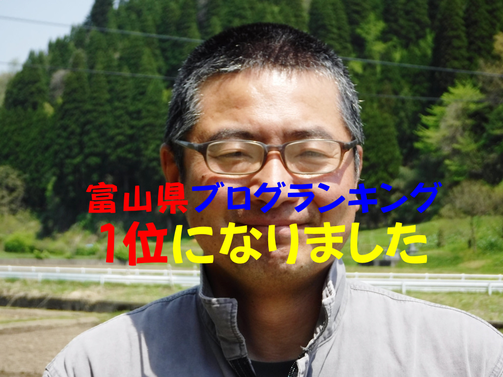 読まれるブログSEO実績で証明！その秘訣／ブログ村継続２年で、富山県ランキング１位中部地域３０位以内にランキング