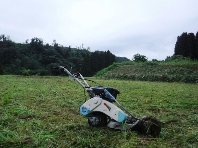 氷見市地域おこし協力隊（稲垣）・田舎暮らし週間活動報告（８月第２週）富山で移住定住