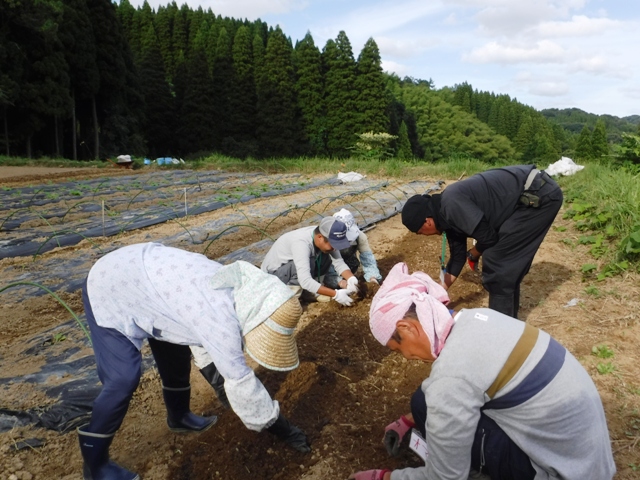 氷見市地域おこし協力隊（稲垣）・田舎暮らし週間活動報告（９月第２週）富山で移住定住