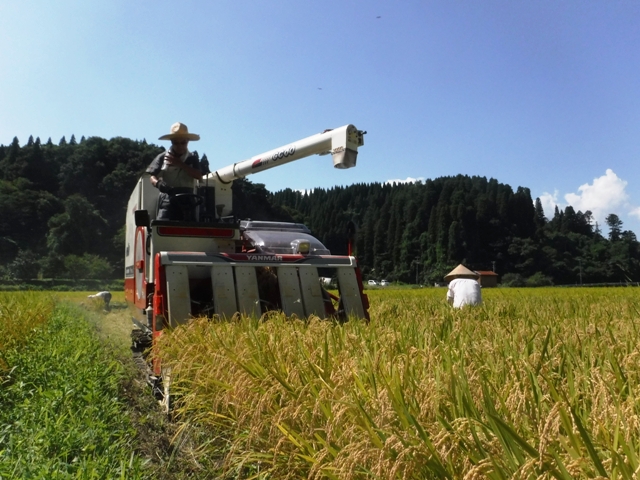 氷見市地域おこし協力隊（稲垣）・田舎暮らし週間活動報告（８月第5週）富山で移住定住