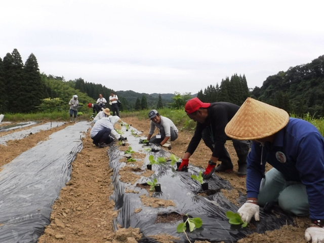 里山で障害ある人と協働作業で雇用創出・地域に溶け込み農福連携始まる