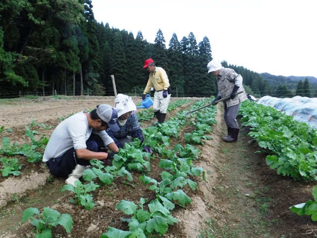 氷見市地域おこし協力隊（稲垣）・田舎暮らし週間活動報告（１０月第３週）富山で移住定住