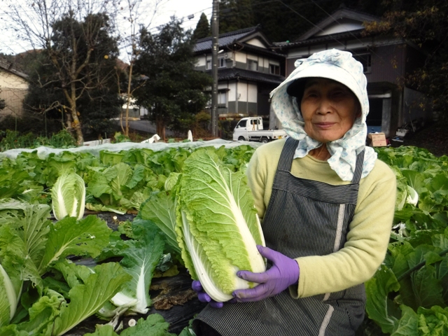 地産外消・脇之谷内キムチの素材／真似出来ない素材の美味しさ・隠し味