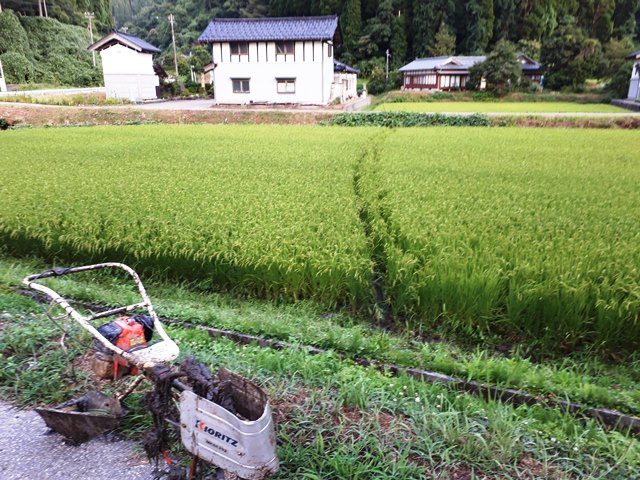 排水（溝切り）処理・失敗・手直し【米づくりの手順】