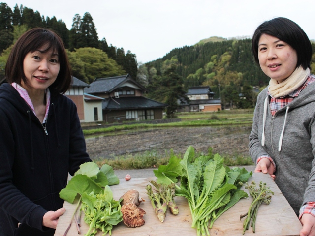 ３６５日1年中農村体験・キノコ植菌と山菜採り／来られよ氷見！・まだまだ間に合うゴールデンウイーク