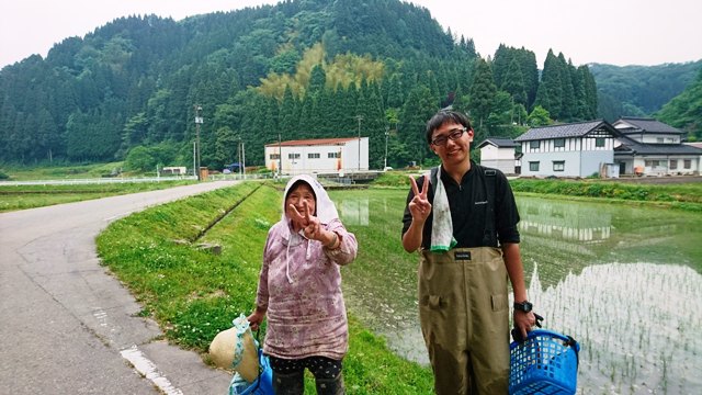 ３６５日1年中農村体験・押し植え／来られよ氷見！