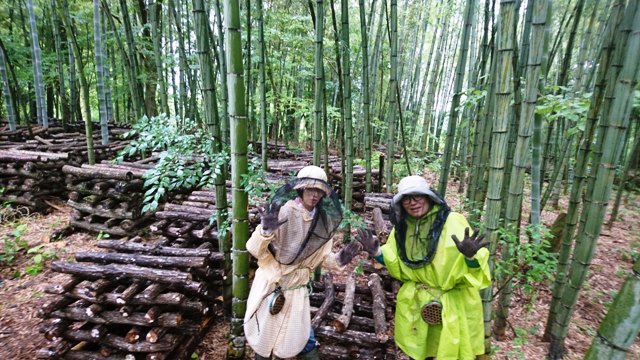 365日1年中農村体験・仏生寺椎茸_仮伏せ体験/来られよ氷見!