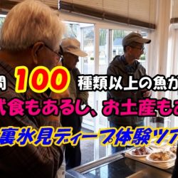 旅行会社も知らない氷見ディープ体験・海も山も楽しめる食都氷見のグリーンツーリズム宿泊体験ツアーその２／ひみ里山くらぶ