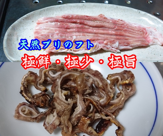 ホルモン好きには、たまらない極レア珍味・天然ブリのフト（食材の宝庫富山県・氷見市の魚屋さん・サービス品）