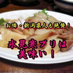 魚屋直伝！今が旬の氷見寒ブリの食べ方