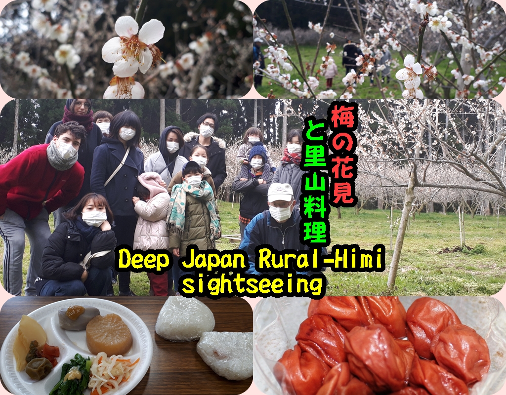 裏ディープ氷見観光in稲積編　Deep Japan Rural-Himi sightseeing in inazumi edition