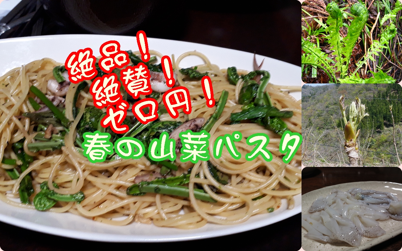 絶品！絶賛！春のゼロ円パスタ/山菜ガイド・農村体験　　