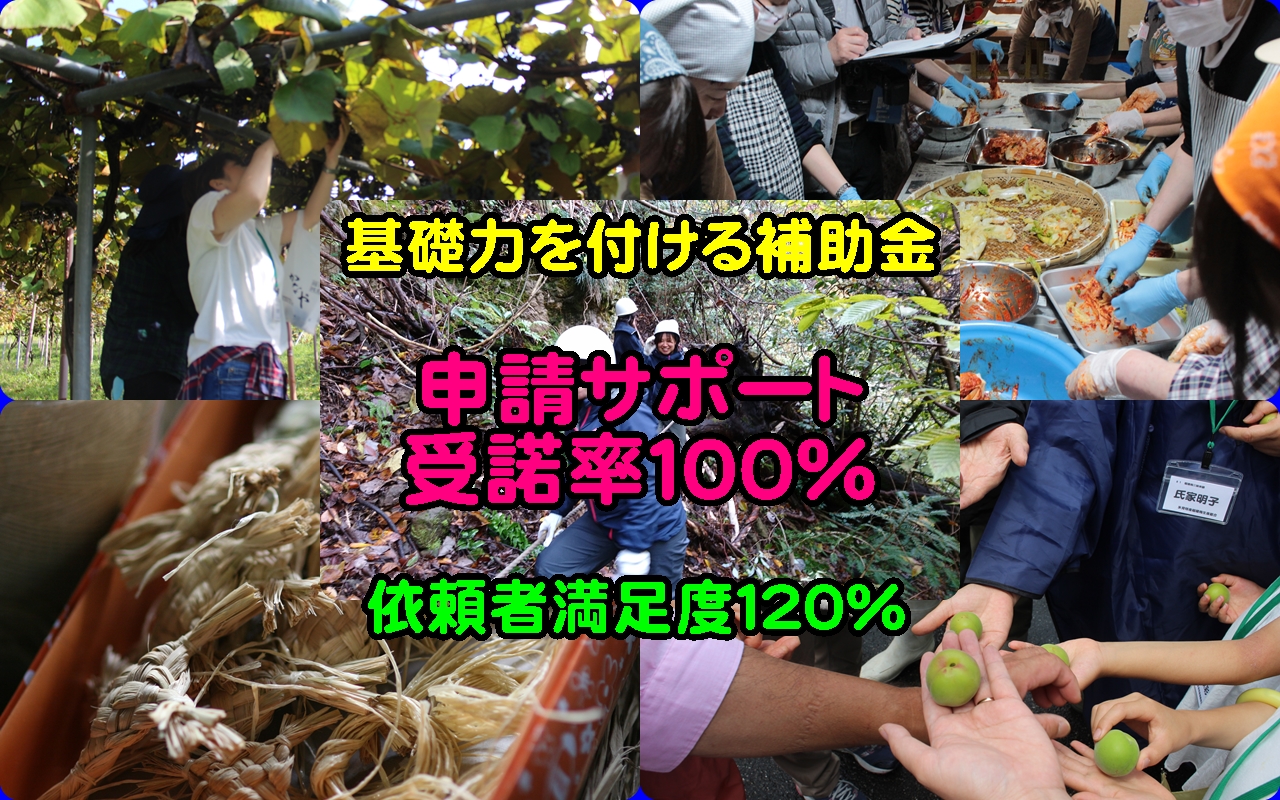 1人での個人事業主・小規模農林業者必見！コロナウイルス禍での補助金申請（農林事業者・飲食事業者・地域活動団体NPO）