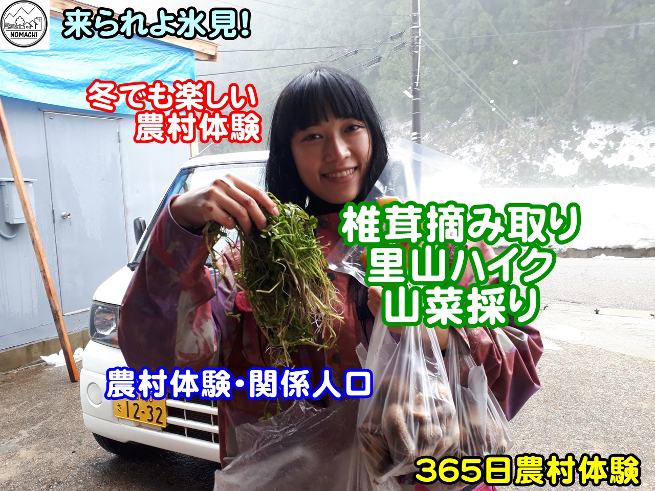 【田舎体験・関係人口】冬でも楽しい田舎体験/椎茸摘み取り、里山ハイク、山菜採り