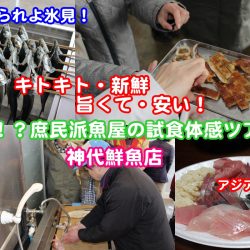 赤字！？庶民派魚屋の試食体感ツアー試食お土産付き/神代鮮魚店